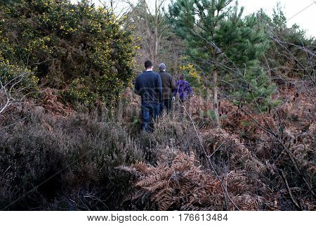 Family woodland walk through dense thicket in spring