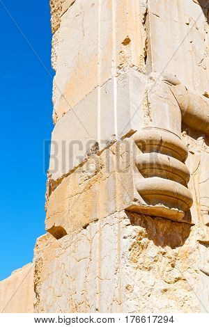 In Iran          Persepolis