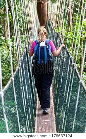 Rainforest Canopy Walkway Borneo Malaysia