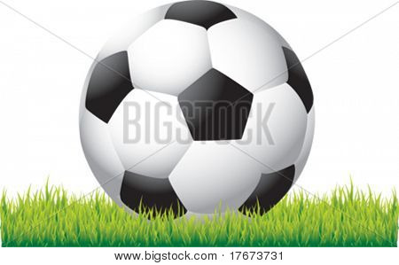 calcio su erba