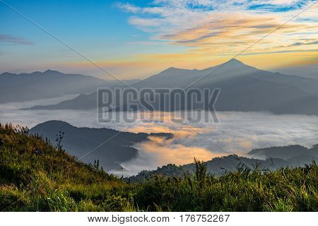 Sunrise landscape of foggy and cloudy mountain valley Doi Pha Tang chiang rai thailand