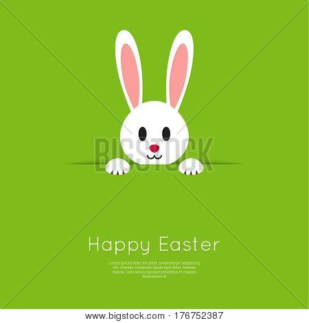 Easter Bunny pop out of the hole. Vector illustration. Green background with Easter funny rabbit.
