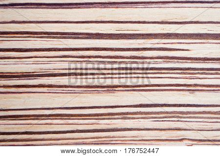 High quality closeup zebrano wood grain texture natural pattern background for design art work or add text.