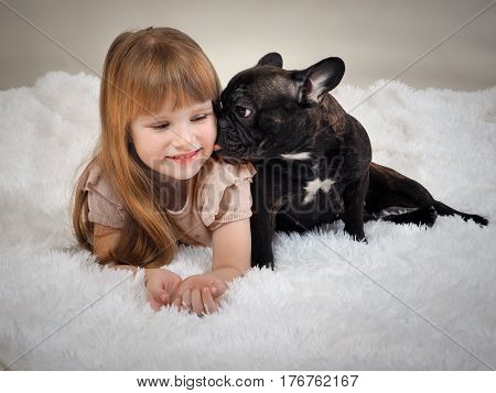 The dog's licking the baby. Redhead little girl and a pet dog - black French bulldog