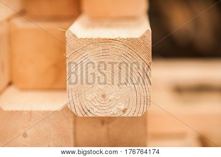 Lumber Industrial Wood Texture, Timber Butts Background