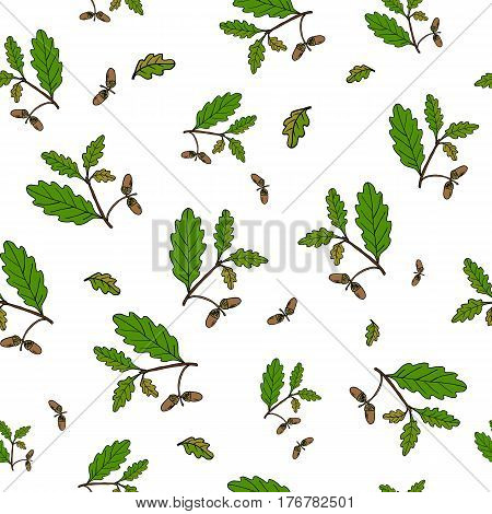 Seamless vector pattern with hand drawn oak tree branches.