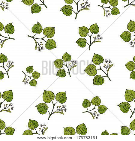 Seamless vector pattern with hand drawn linden tree branches.
