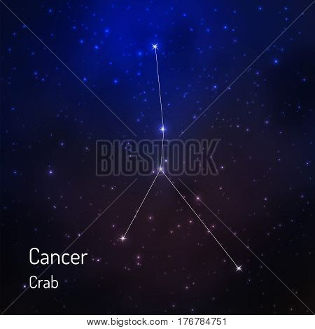 Cancer constellation in the night starry sky. Vector illustration