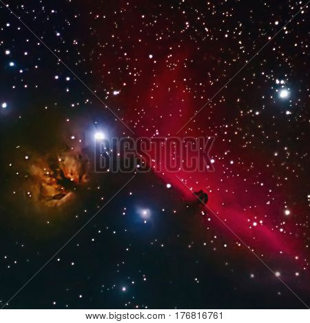 Horsehead And Flaming Tree Nebula In Space