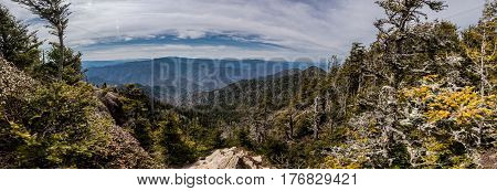 View from Mt LeConte Panorama During a Warm Winter Afternoon Hike