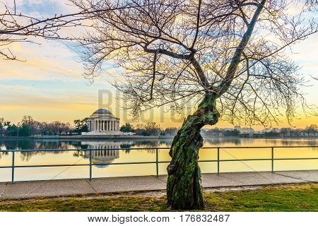 Washington DC at the Tidal Basin and Jefferson Memorial before spring