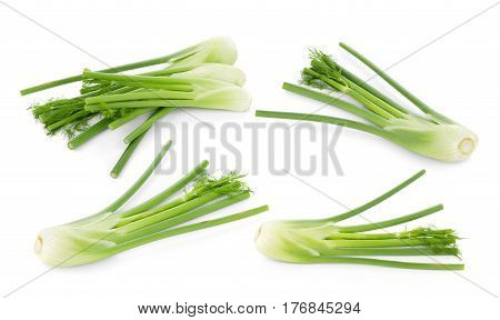 closeup fresh fennel bulb isolated on white background