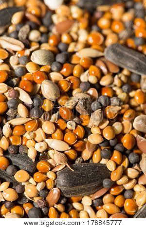A background of birdseed. close . Photo texture