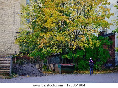 Autumn Scene In Vyborg, Russia