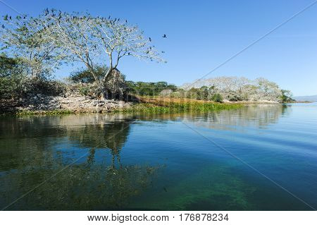 Bird Island On The Lake Of Suchitlan Near Suchitoto