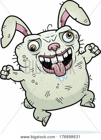 Crazy Ugly Bunny