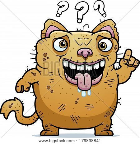 Confused Ugly Cat