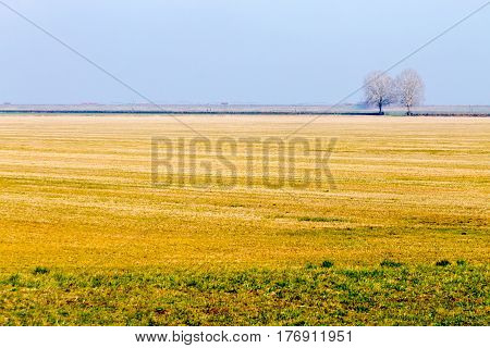 Rural Italian Landscape From Po River Lagoon.