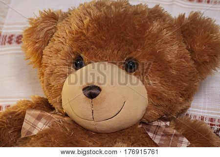 Kind teddy bear plush friend cute toy