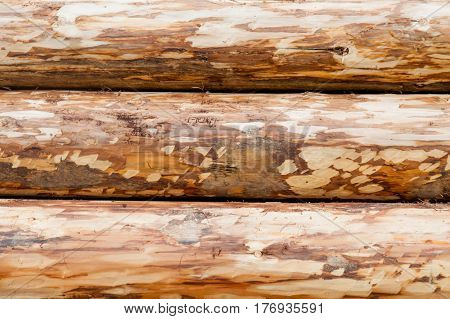 Photo Of Beautiful Bunch Of Felled Trees On The Natural Background