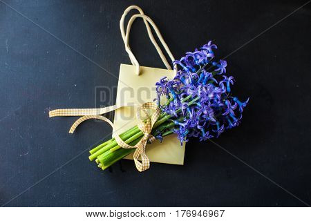 Spring Concept With Hyacinth