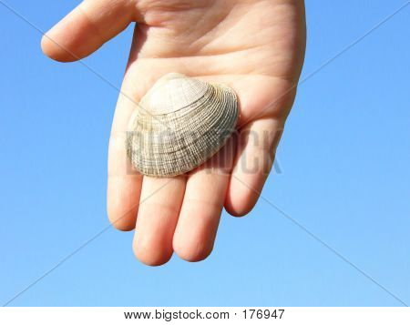 Ruka držící Shell