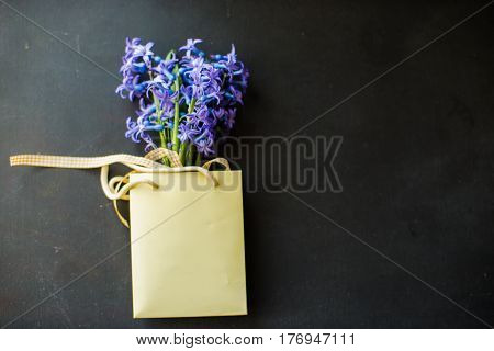 Spring Concept With Hyacinth