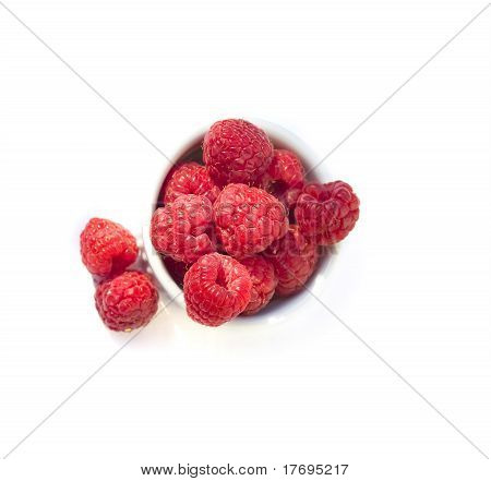 Malina izolovaných na bílém