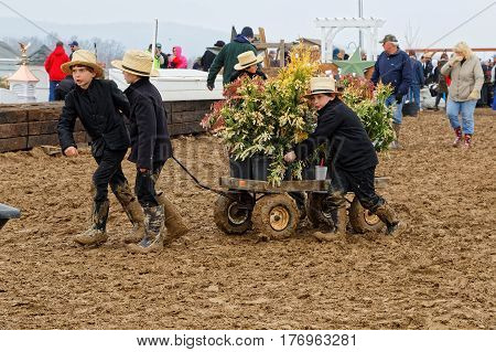 PENRYN PENNSYLVANIA - MARCH 18 2017: A rainy muddy day at the annual 