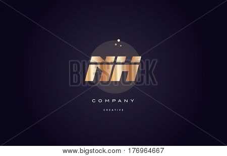 Nh N H  Gold Metal Purple Alphabet Letter Logo Icon Template