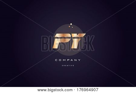 Py P Y  Gold Metal Purple Alphabet Letter Logo Icon Template