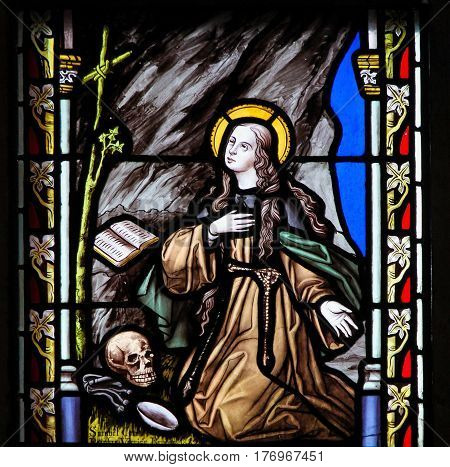 Stained Glass - Saint Rosalia
