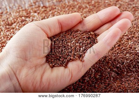 Flax seeds in the hand of a woman