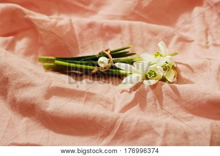 The earliest spring flowers. Snowdrops. Sweethearted nature.