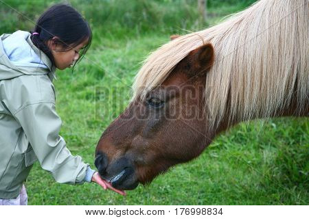 Riding Horses