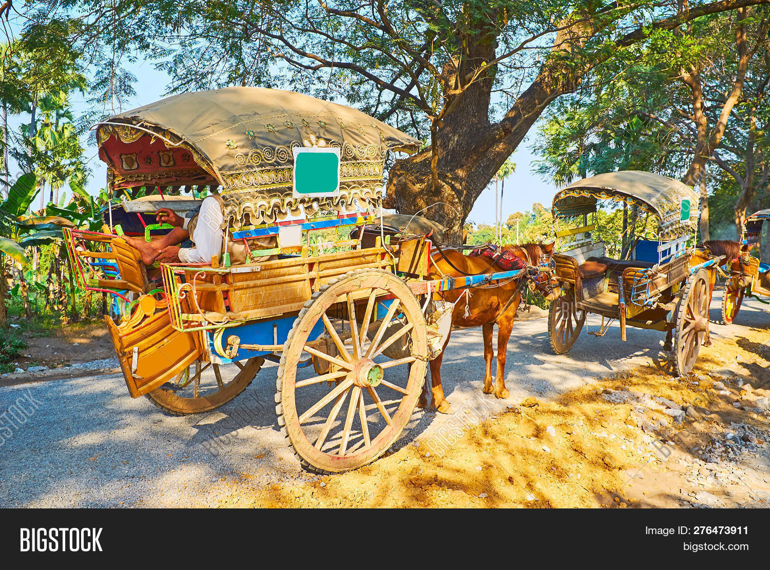 Line Horsedrawned Image & Photo (Free Trial) Bigstock