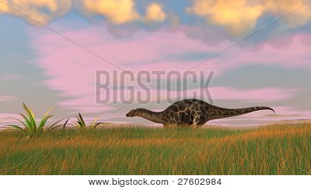 dicraeosaurus ในฟิลด์