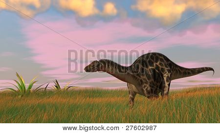dicraeosaurus ในฟิลด์