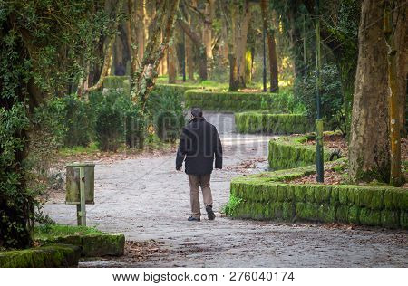 Rear View Of A Middle-aged Man Wandering Around A Trail At A Green Forest Park. Black Coat.