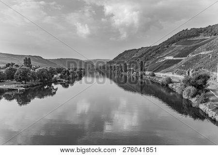 Scenic Moselle Valley At Trittenheim In Germany