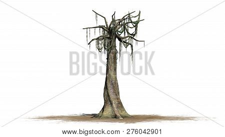 Kapok Tree In Winter On A Sand Area - Isolated On White Background - 3d Illustration