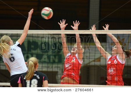 헝가리 챔피언 vo에 행동에 KAPOSVAR, 헝가리-11 월 25 일: Kamilla Gyorbiro (레드 6)