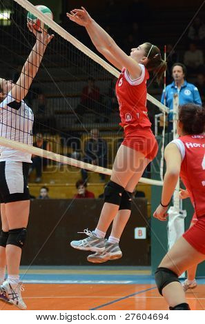 KAPOSVAR, 헝가리-11 월 25 일: Kamilla Gyorbiro (C) 헝가리 선수권 대회 발리에서 행동