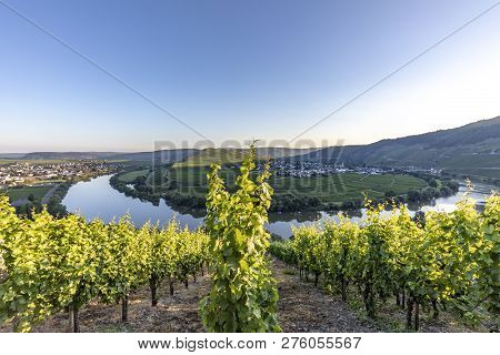 Famous Moselle Sinuosity At  Leiwen Called Zummet Hights