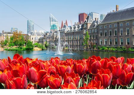 View Of Binnenhof - Dutch Parliament At Spring With Tulip Flowers, The Hague, Holland