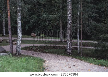Moody Photo Of The Road In A Park, Between Woods - Desaturated, Vintage Look