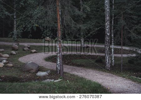 Moody Photo Of The Road In A Park, Between Woods - Desaturated, Vintage Look
