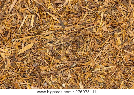 Catuaba Bark Tea, Macro. Natural Herbal Tea From Powdered Catuaba Tree Bark. Brazilian Aphrodisiac U