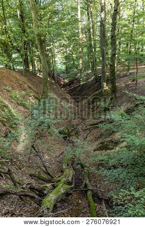 Wild Tiefenbach Trail In The Forest Of Sankt Wendel