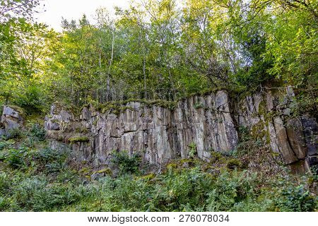 Wild Tiefenbach Trail In The Forest Of Sankt Wendel, Germany